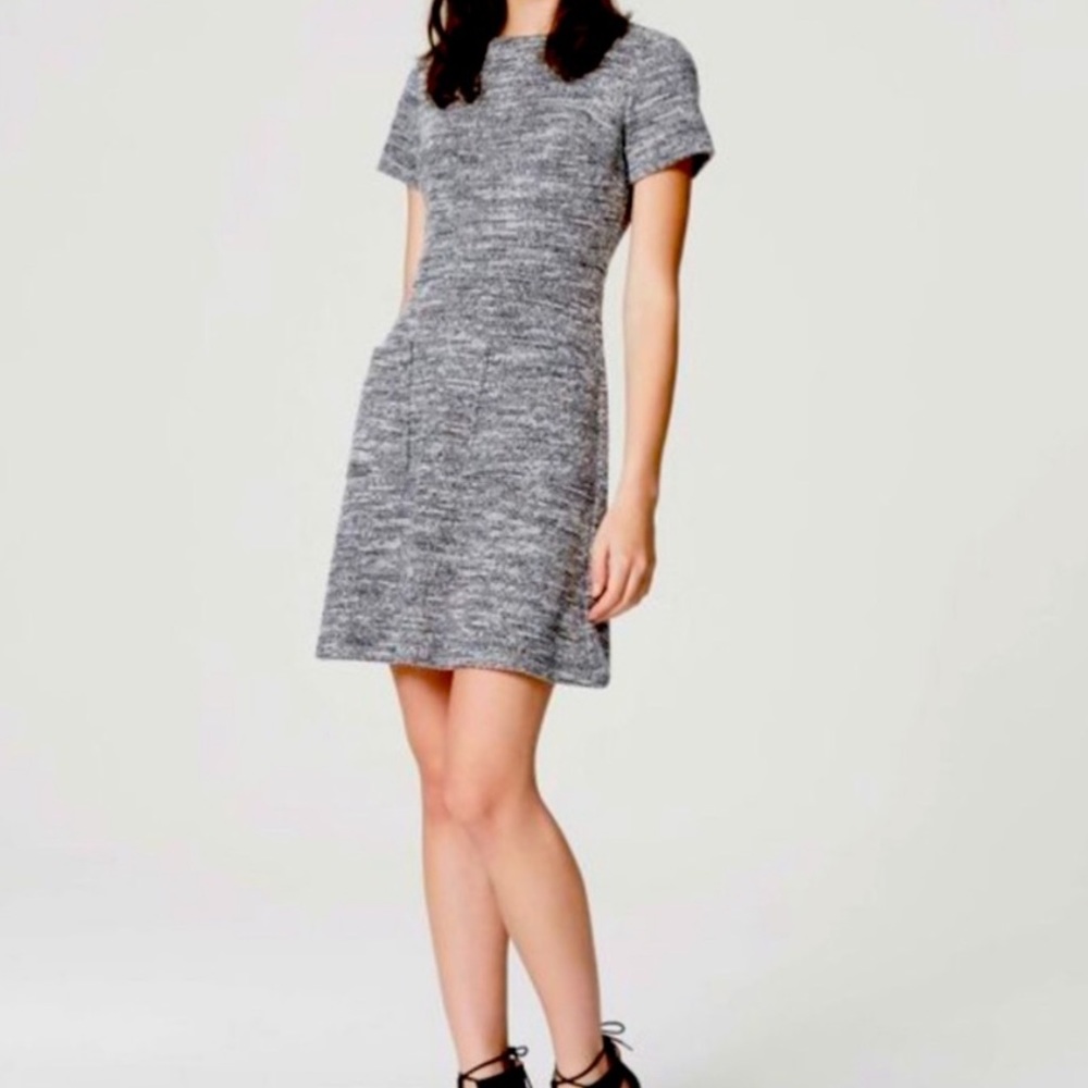 LOFT Gray Tweed A-Line Short Sleeve Dress